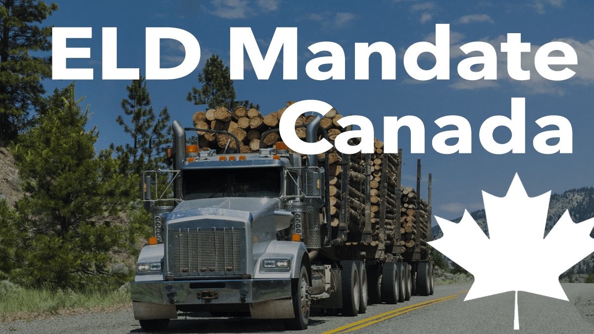 ELD Mandate