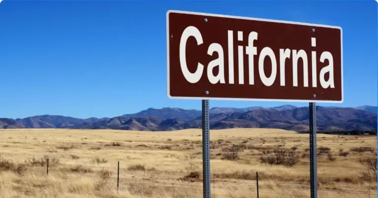California ELD Mandate